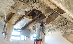 Asbestos and Lead Testing During Mold Inspection in Roslyn, PA